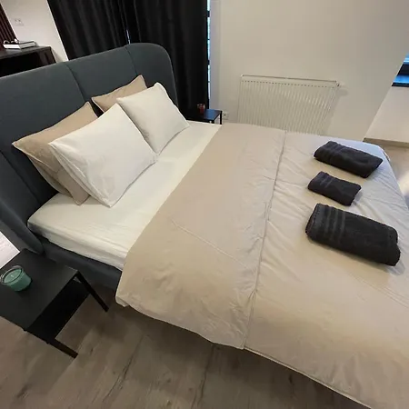Golden Rose With 24h Checkin And Free Parking 公寓 皮耶什佳尼